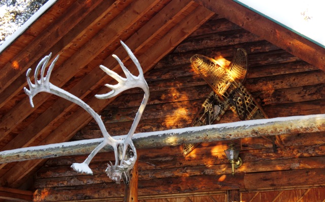 aurora cabin