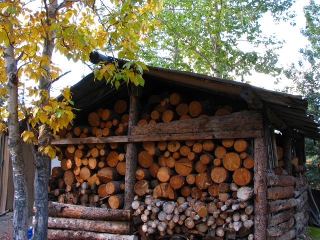 Nolan Aspens web