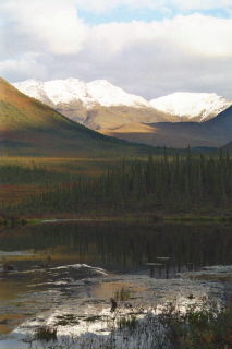 Kahalabuk winter web