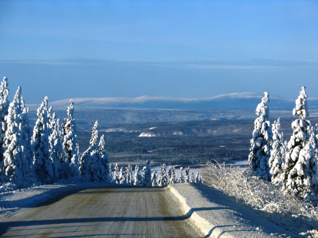 winter pink road web