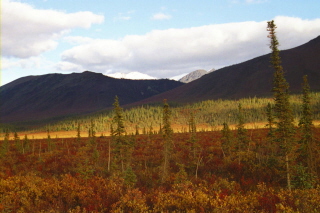 pipeling & color mountian.jpg