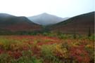 rainbow gulch web