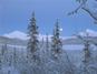 moonlight snow