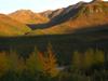 a fall scene north of Wiseman.jpg