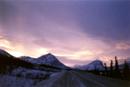 winter pink road web